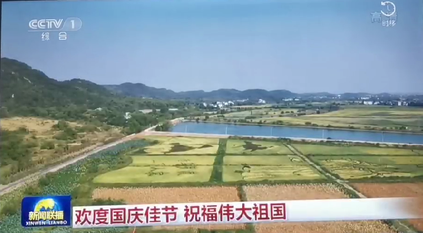 上央视-大众娱乐五彩稻田画，助力乡村振兴